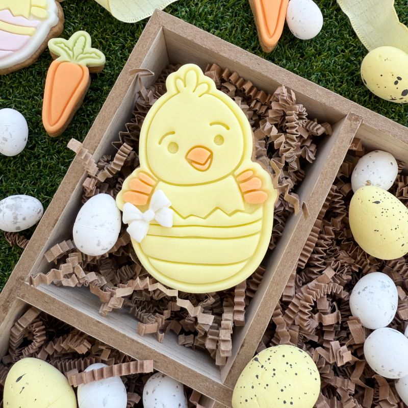 Easter Chick Large Cookie Cutter and Stamp
