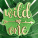 Wild One with Arrow Baby Shower Cookie Cutter and Embosser