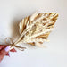 Palm Spears Dried Flower Set - Metallic Glitter Gold and Neutrals