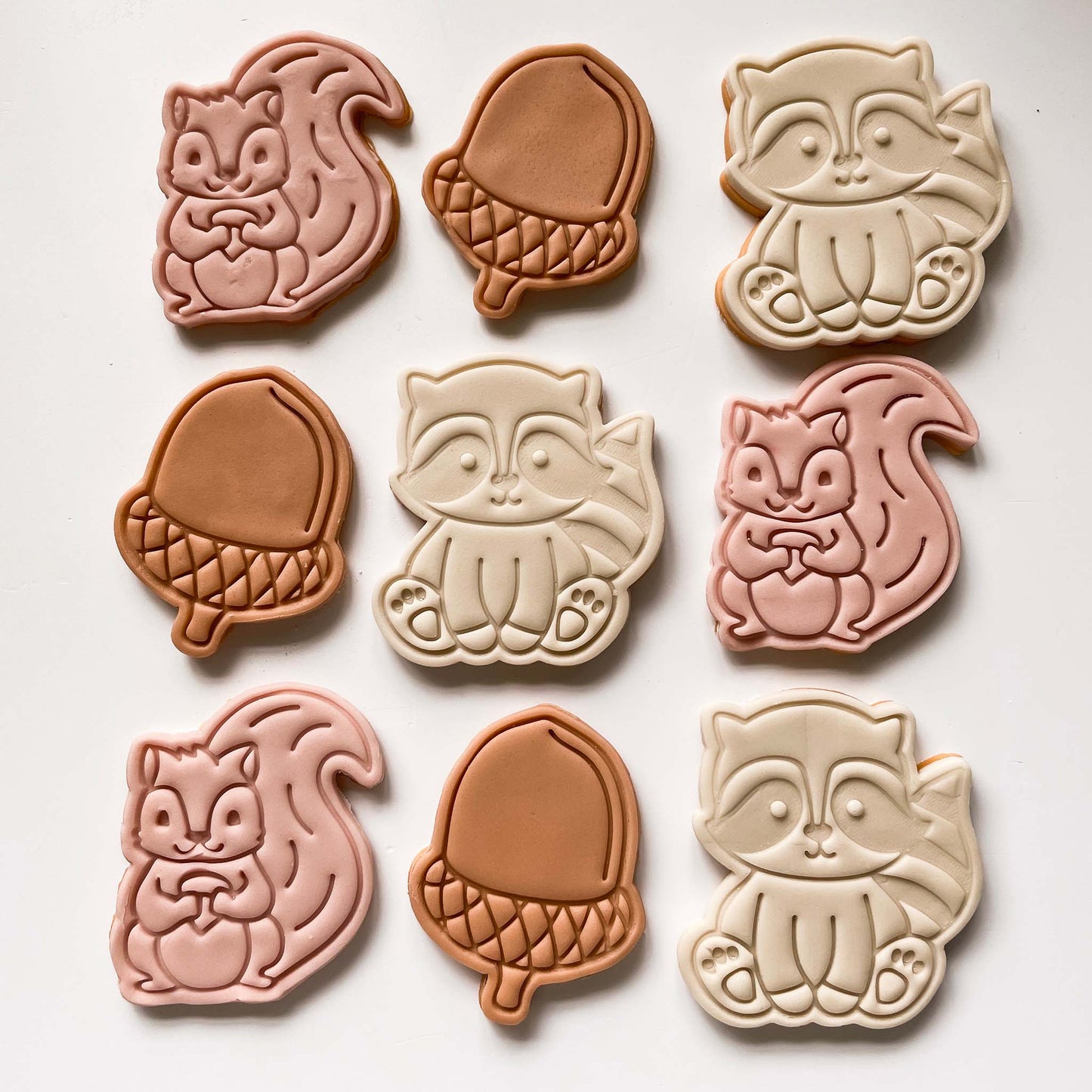 Racoon Woodland Cookie Cutter and Stamp