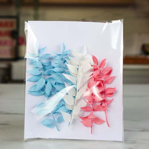 Mini Preserved Ruscus Florals - Sky Blue, White and Raspberry Pink Set