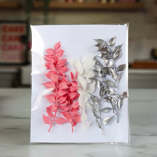 Mini Preserved Ruscus Florals - Raspberry Pink, White and Silver Set
