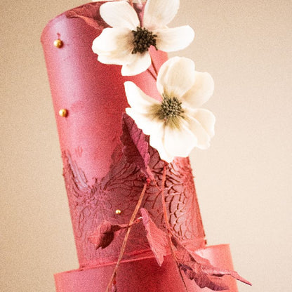 The Ayo Full Wrap Cake Stencil design by Tabi Cakes