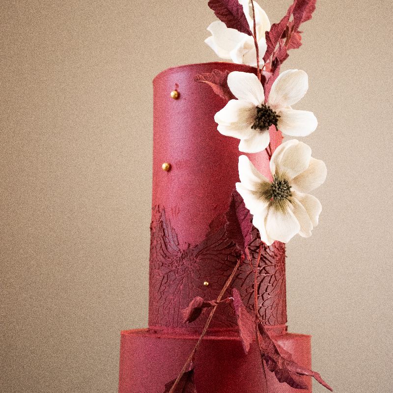 The Ayo Full Wrap Cake Stencil design by Tabi Cakes