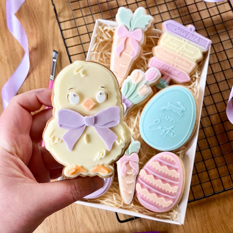 Cute Chick Easter 3D Cookie Stamp and Cutter - suitable for two tone effect