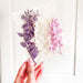 Mini Preserved Ruscus Florals - Purples