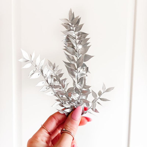 Mini Preserved Ruscus Florals - Metallic Silver