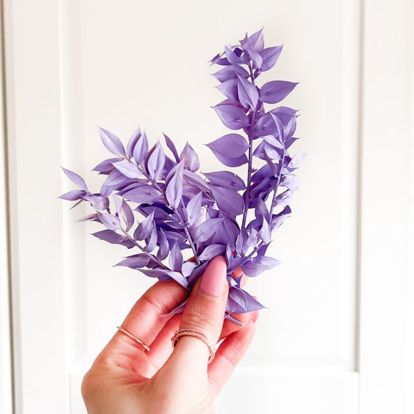 Mini Preserved Ruscus Florals - Lavender Purple