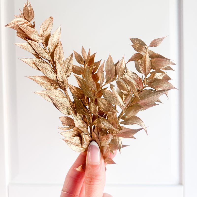 Mini Preserved Ruscus Florals - Antique Gold
