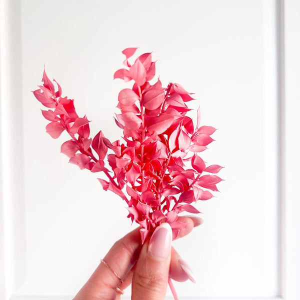Mini Preserved Ruscus Florals - Raspberry Pink
