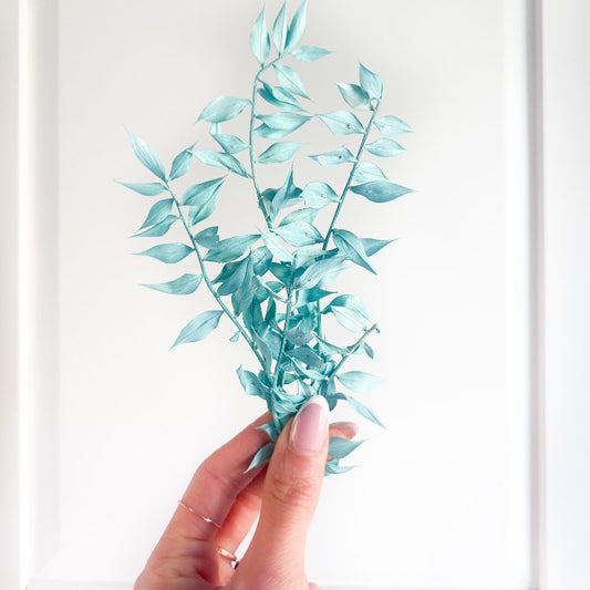 Mini Preserved Ruscus Florals - Turquoise