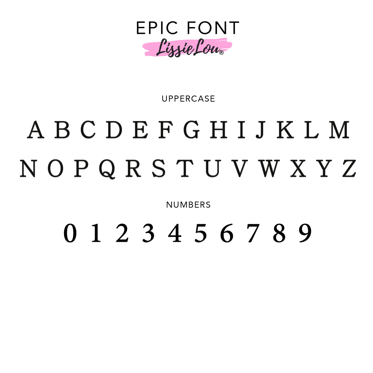 Epic Font Custom Cake Topper or Cake Motif Premium 3mm Acrylic or Birch Wood