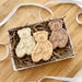 Traditional Sitting Teddy Bear Cookie Cutter and Embosser