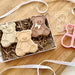 Fluffy Sitting Teddy Bear Cookie Cutter and Embosser