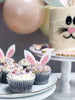 Easter Cake Kit, Cupcake Toppers and Cakesicle Sticks Mixed Bundle