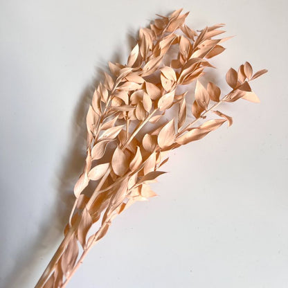 Nude Pink Ruscus for Cakes