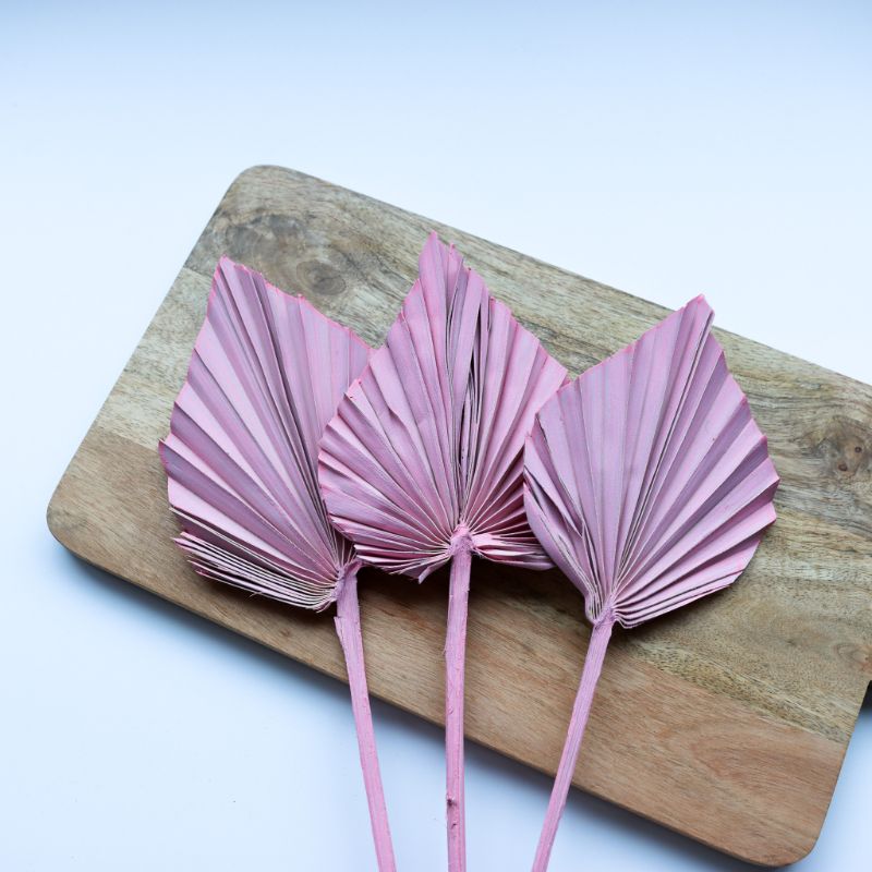 Palm Spears - Misty Pink