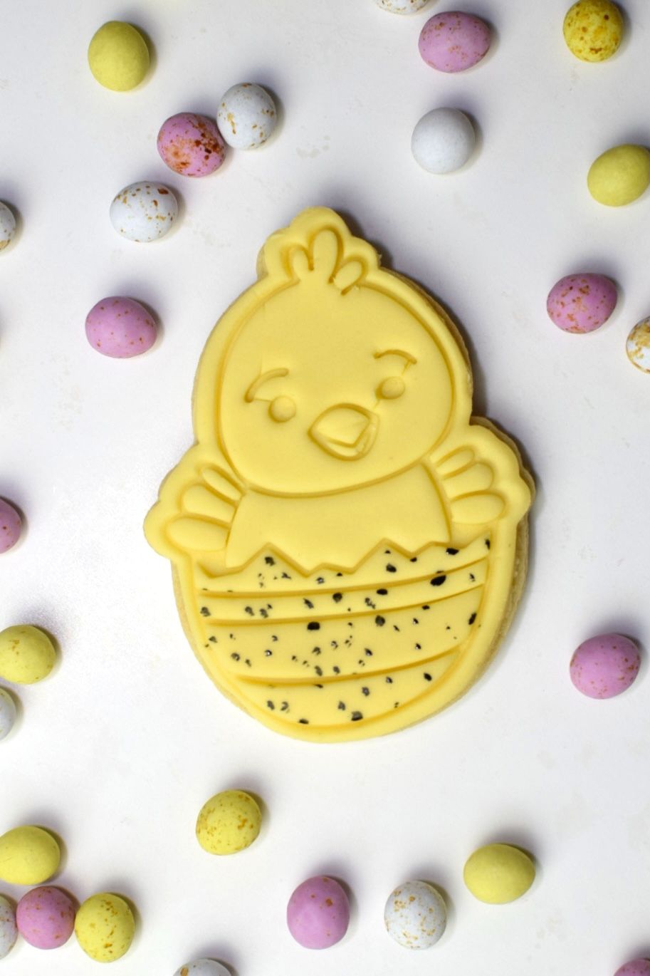 Easter Chick Large Cookie Cutter and Stamp